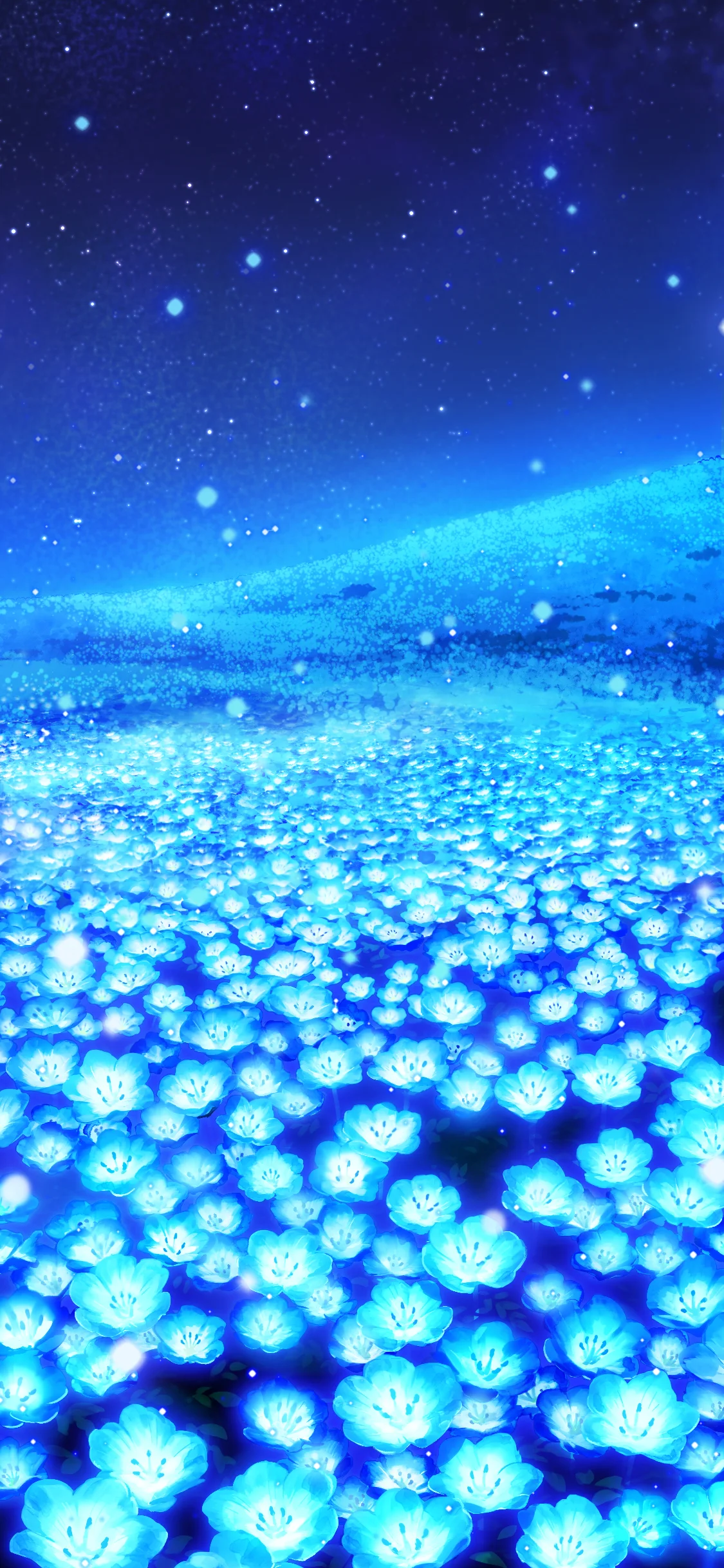 ネモフィラの星空