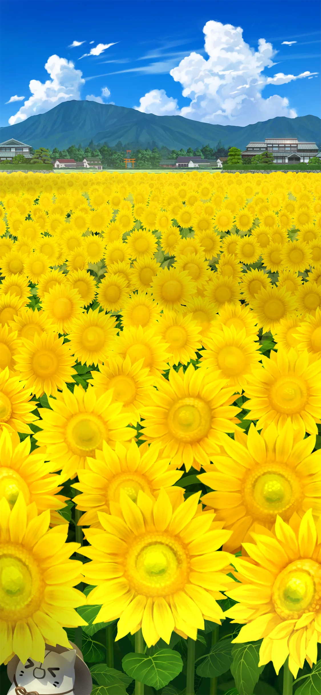 ひまわり 夏空の輝き